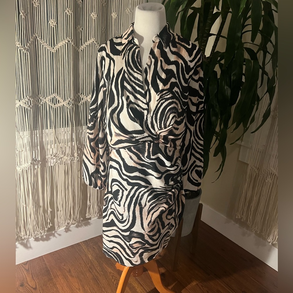 Anthropologie Zebra Dress